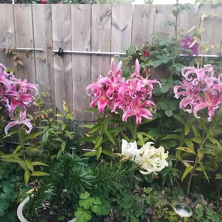 Baneheia-studios & Lägenhetshotell Kristiansand