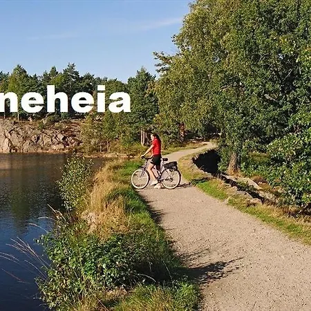 Baneheia-studios & *