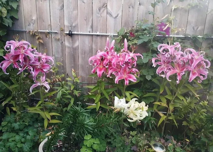 Baneheia-studios & Lägenhetshotell Kristiansand