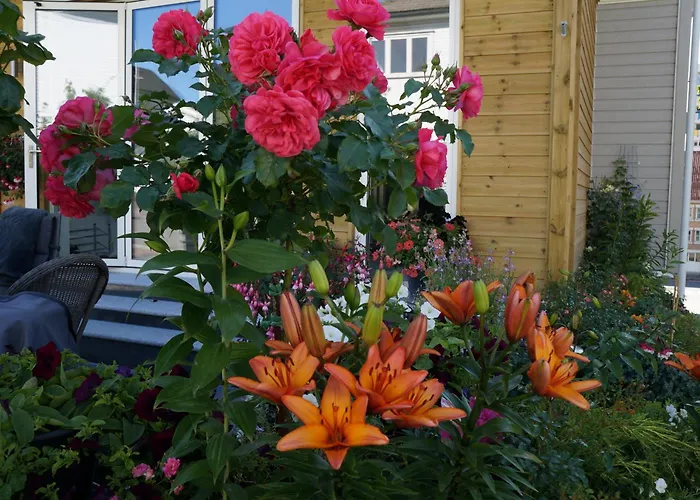 Lägenhetshotell Baneheia-studios & Kristiansand