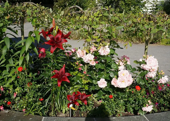 Lägenhetshotell Baneheia-studios & Kristiansand