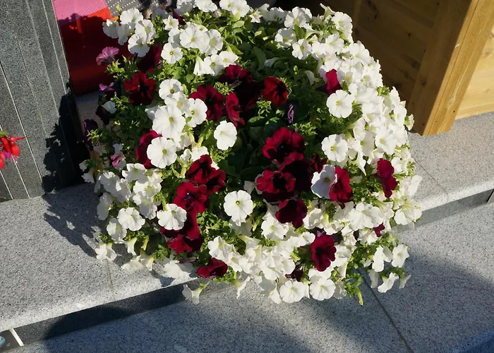 Baneheia-studios & 3*