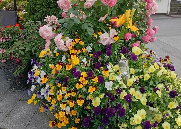 Lägenhetshotell Baneheia-studios &