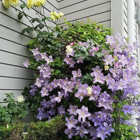 Baneheia-studios & Kristiansand