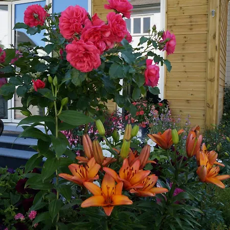 Hotel apartamentowy Baneheia-studios & Kristiansand